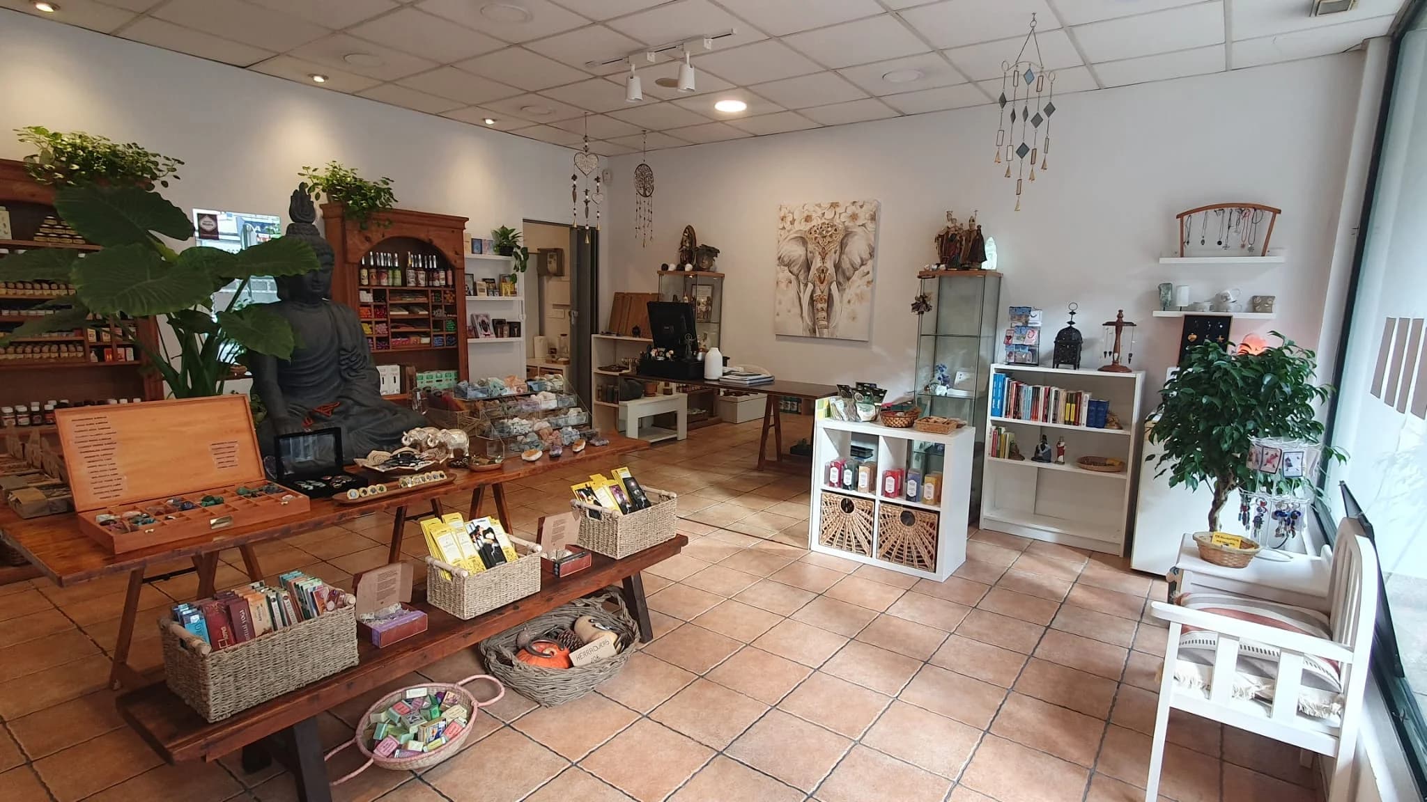 Vista panorámica hacia la caja registradora de la tienda